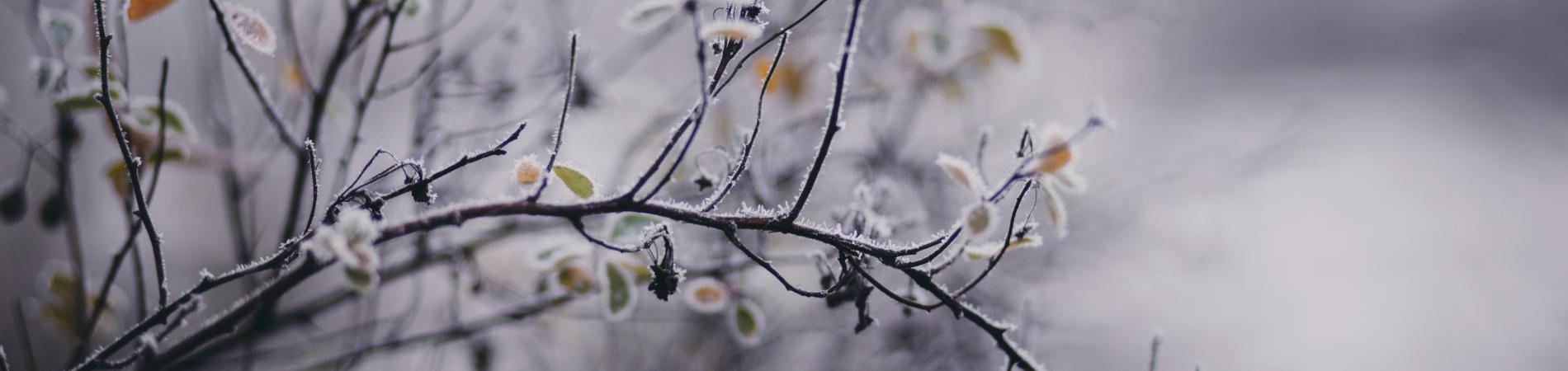 January