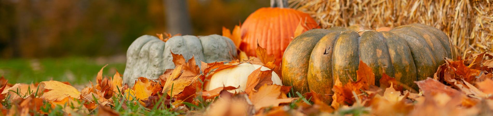 October
