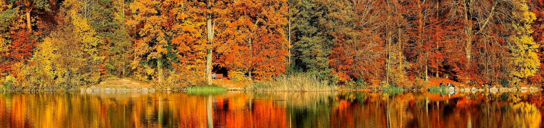 fall